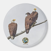 E23 & Family- M15, F23 & First Eaglet Magnet (Vorne)