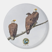 E23 & Family- M15, F23 & First Eaglet