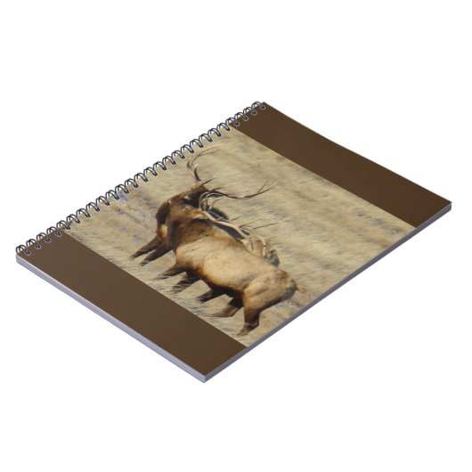 E24 Bull Elk Notizblock (Linke Seite)