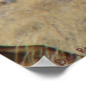 E24 Bull Elk Poster (Ecke)