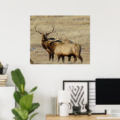 E24 Bull Elk Poster (Heimbüro)