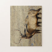 E24 Bull Elk Puzzle (Vertikal)