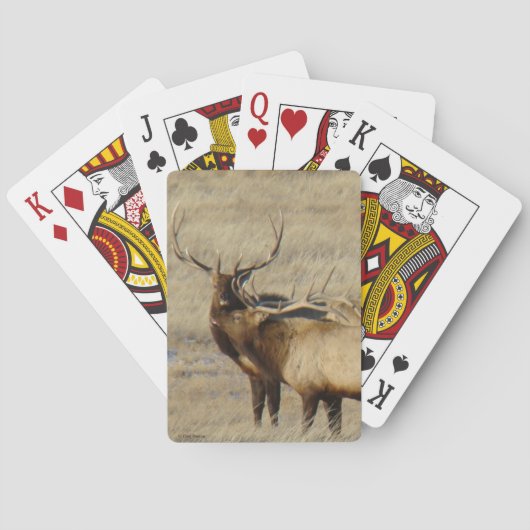 E24 Bull Elk Spielkarten (Rückseite)