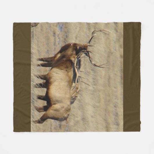 E24 Stier Elche Fleecedecke (Vorderseite (Horizontal))