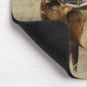 E24 Stier Elche Mousepad (Ecke)