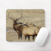 E24 Stier Elche Mousepad (Mit Mouse)