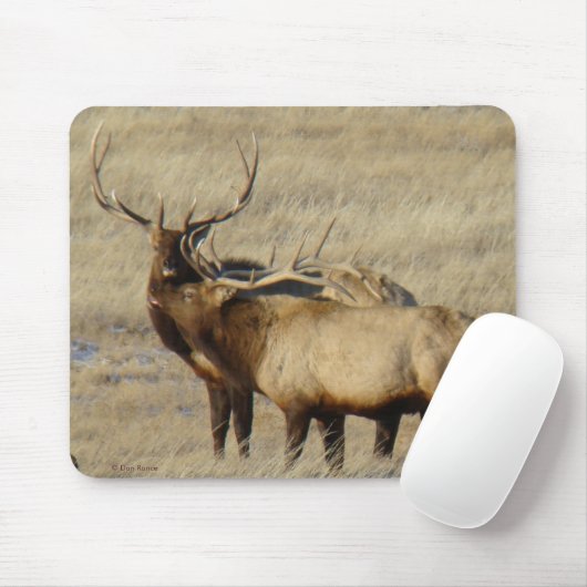E24 Stier Elche Mousepad (Mit Mouse)