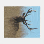 E26 Bullletin im Unkraut Fleecedecke (Vorderseite (Horizontal))