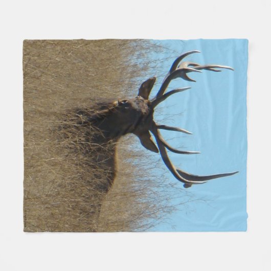 E26 Bullletin im Unkraut Fleecedecke (Vorderseite (Horizontal))