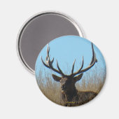 E26 Bullletin im Unkraut Magnet (Vorderseite/Rückseite)