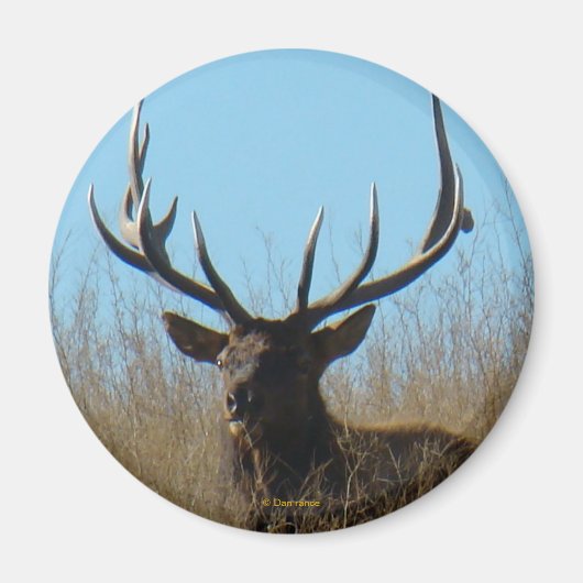 E26 Bullletin im Unkraut Magnet (Vorne)