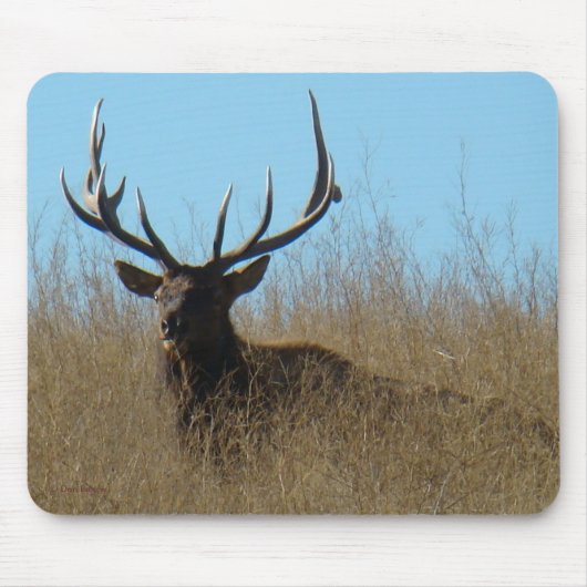 E26 Bullletin im Unkraut Mousepad (Vorne)