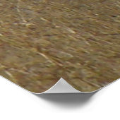 E26 Bullletin im Unkraut Poster (Ecke)