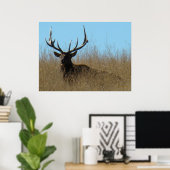 E26 Bullletin im Unkraut Poster (Heimbüro)