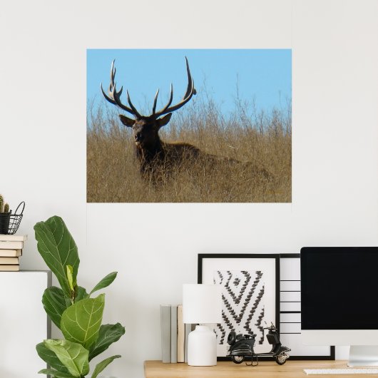 E26 Bullletin im Unkraut Poster (Heimbüro)