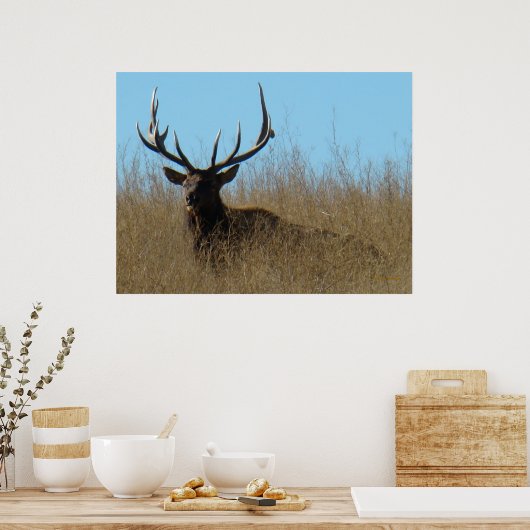 E26 Bullletin im Unkraut Poster (Küche)