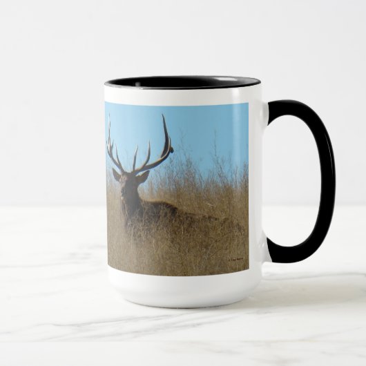E26 Bullletin im Unkraut Tasse (Rechts)