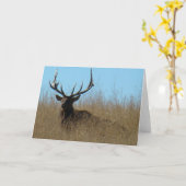 E26 Elchbullen in Unkraut Karte (Gelbe Blume)