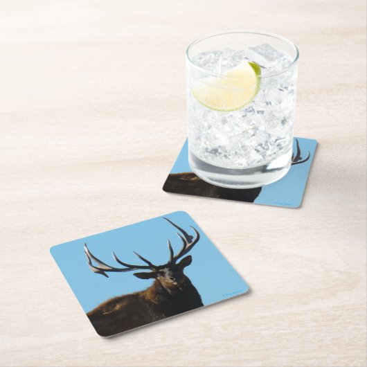 E27 Big Bull Elk Skylined Rechteckiger Pappuntersetzer (Vor Ort)