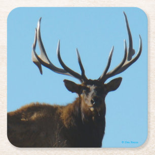 E27 Big Bull Elk Skylined Rechteckiger Pappuntersetzer