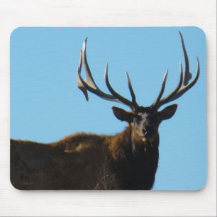 E27 Bull Elk am Himmel Mousepad