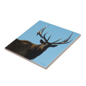 E27 Bull Elk Sky Lined Fliese (Seite)