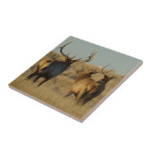 E28 Bull-Elch Fliese (Seite)
