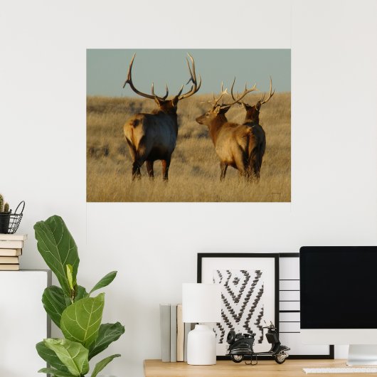 E28 Bull Elk Poster (Heimbüro)