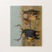 E28 Bull Elk Walking Away Puzzle (Vertikal)