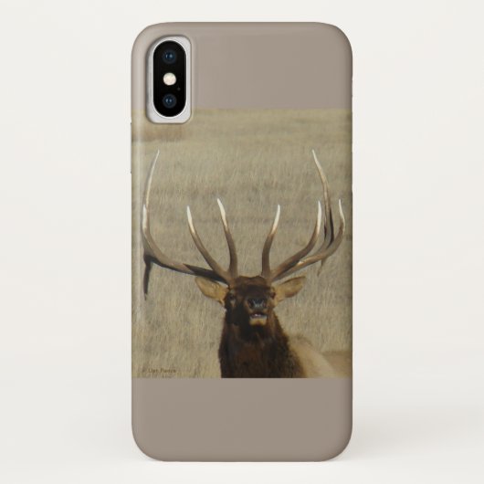 E29 Bull Elk Head Case-Mate iPhone Hülle (Rückseite)