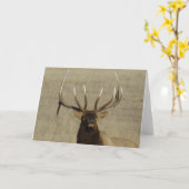 E29 Bull Elk Head Karte (Gelbe Blume)