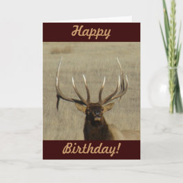 E29 Bull Elk Head Karte
