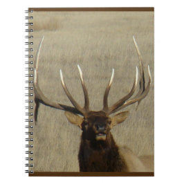 E29 Bull Elk Head Shot Notizblock