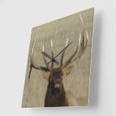 E29 Bull Elk Head Shot Quadratische Wanduhr (Winkel)