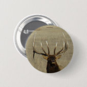 E29 Stier Elch-Kopf-Schuss Button (Vorne & Hinten)