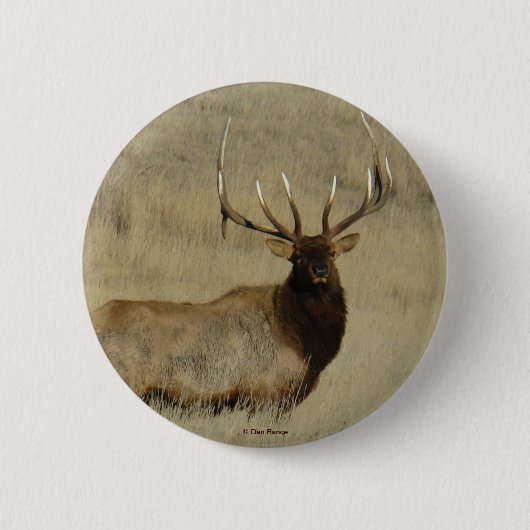 E30 Bull Elk Button (Vorderseite)