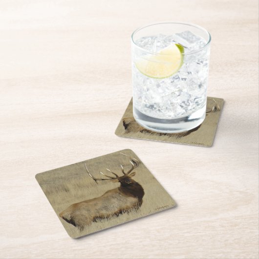 E30 Bull Elk Rechteckiger Pappuntersetzer (Vor Ort)