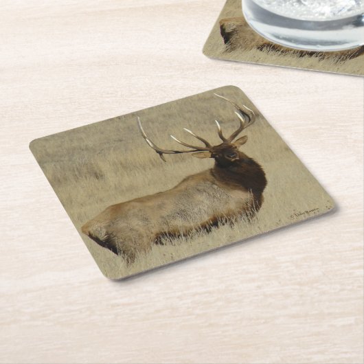 E30 Bull Elk Rechteckiger Pappuntersetzer (angewinkelt)