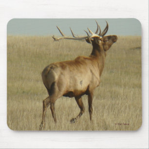 E35 Bull-Elch Gras in Hörnern Mousepad