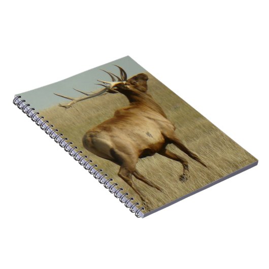 E35 Bullgras in Hörnern Notizblock (Rechte Seite)