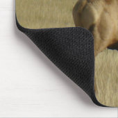 E35 Stier Elch-Gras in den Hörnern Mousepad (Ecke)