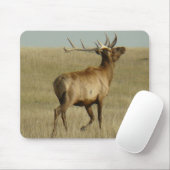 E35 Stier Elch-Gras in den Hörnern Mousepad (Mit Mouse)