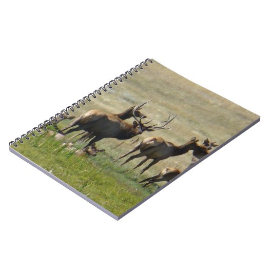 E36 Elk Herd in Waterhole Notizblock (Linke Seite)