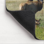 E36 Stier Elche und Kühe Mousepad (Ecke)