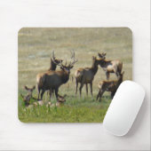 E36 Stier Elche und Kühe Mousepad (Mit Mouse)
