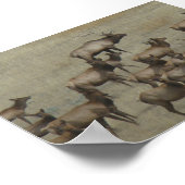 E37 Bull Elk mit Kühen Poster (Ecke)