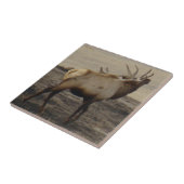 E39 Bull Elk Bugler Fliese (Seite)