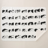 E3 Klassenzimmer Sherpadecke (Vorderseite (Horizontal))