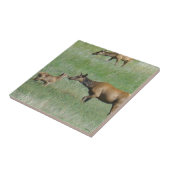 E3 Kuh Elch und Kalbsnase bis Nase Fliese (Seite)