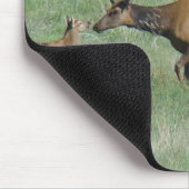 E3 Kuhelicht und Jung Mousepad (Ecke)